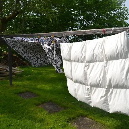 Vibes Bed & Breakfast