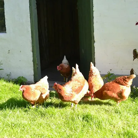 Vibes Bed & Breakfast Trige