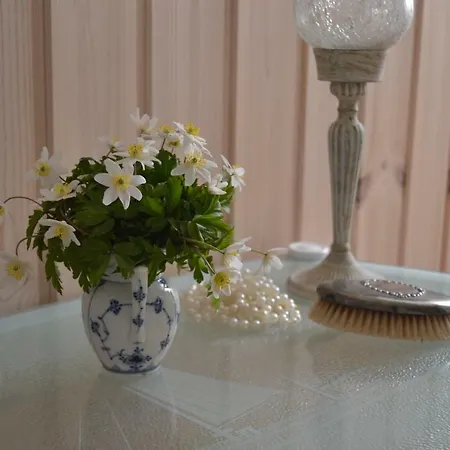 Vibes Bed & Breakfast Trige