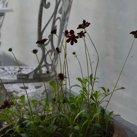 Bed & Breakfast Vibes 4*