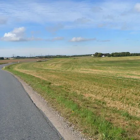 Vibes Bed & Breakfast