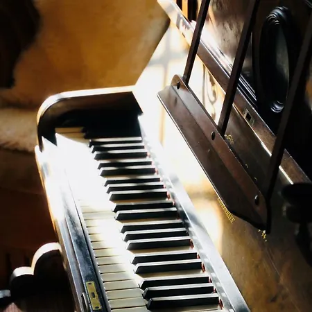 Vibes Bed & Breakfast